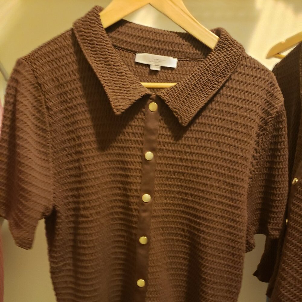 Ann Taylor Loft - Brown Ruffle Shirt